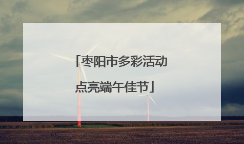 枣阳市多彩活动点亮端午佳节
