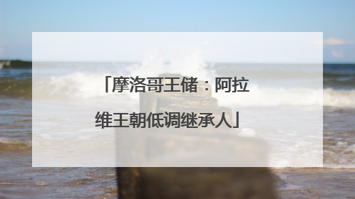 摩洛哥王储：阿拉维王朝低调继承人