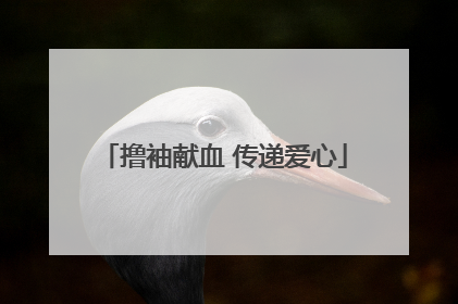 撸袖献血 传递爱心