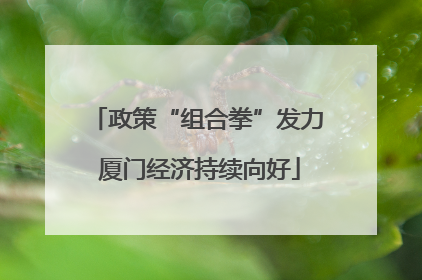 政策“组合拳”发力 厦门经济持续向好