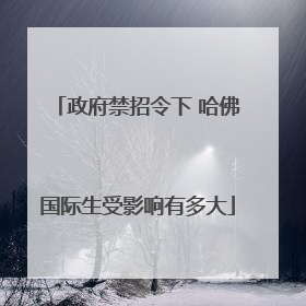 政府禁招令下 哈佛国际生受影响有多大