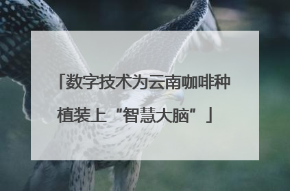 数字技术为云南咖啡种植装上“智慧大脑”