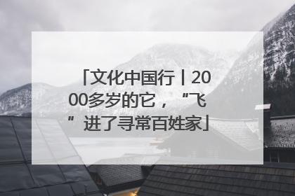 文化中国行丨2000多岁的它，“飞”进了寻常百姓家