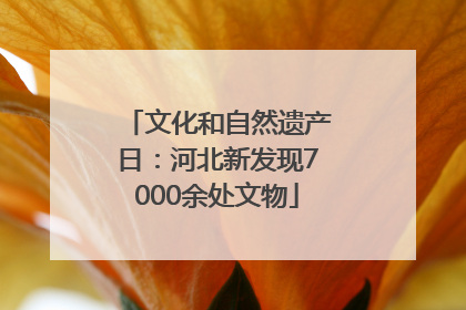 文化和自然遗产日：河北新发现7000余处文物