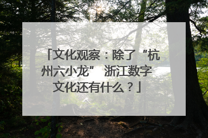 文化观察：除了“杭州六小龙” 浙江数字文化还有什么？