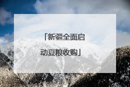 新疆全面启动夏粮收购
