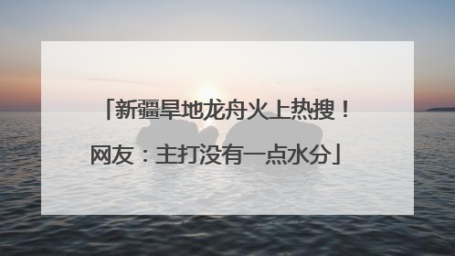 新疆旱地龙舟火上热搜！网友：主打没有一点水分