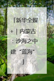 新华全媒+｜内蒙古：沙海之中建“蓝海”
