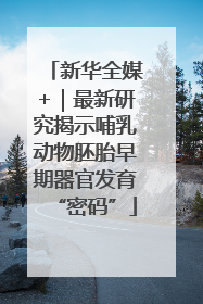 新华全媒+｜最新研究揭示哺乳动物胚胎早期器官发育“密码”