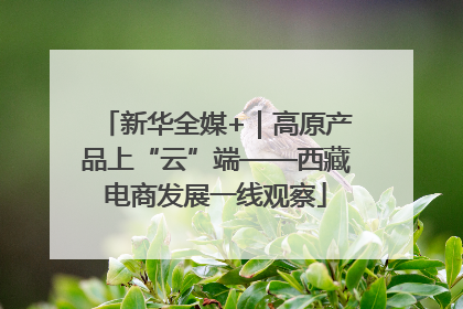 新华全媒+｜高原产品上“云”端——西藏电商发展一线观察