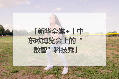 新华全媒+丨中东欧博览会上的“数智”科技秀