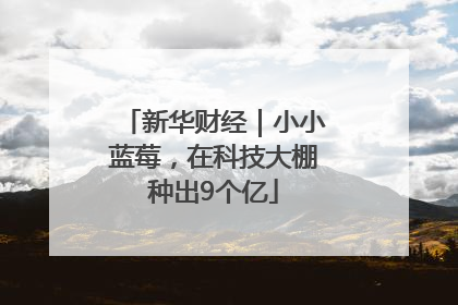 新华财经｜小小蓝莓，在科技大棚种出9个亿