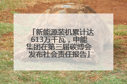 新能源装机累计达613万千瓦，申能集团在第三届碳博会发布社会责任报告