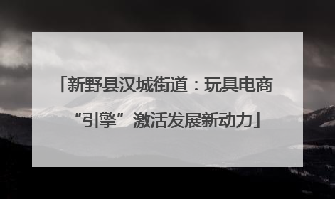 新野县汉城街道：玩具电商“引擎”激活发展新动力