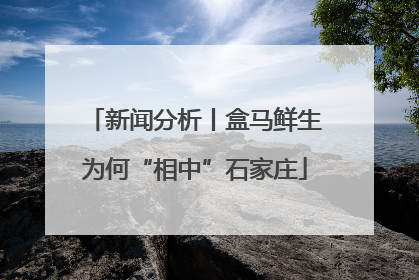 新闻分析丨盒马鲜生为何“相中”石家庄