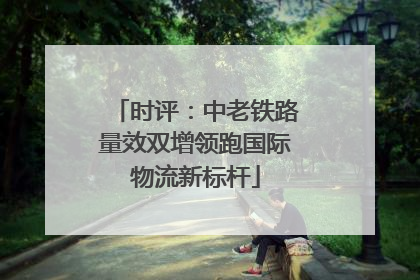时评：中老铁路量效双增领跑国际物流新标杆
