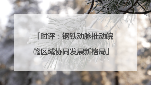 时评：钢铁动脉推动皖赣区域协同发展新格局