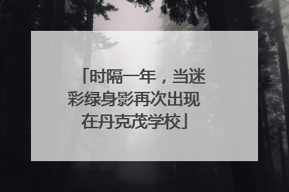 时隔一年，当迷彩绿身影再次出现在丹克茂学校