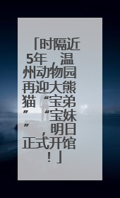 时隔近5年，温州动物园再迎大熊猫“宝弟”“宝妹”，明日正式开馆！
