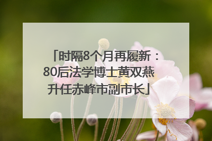 时隔8个月再履新：80后法学博士黄双燕升任赤峰市副市长