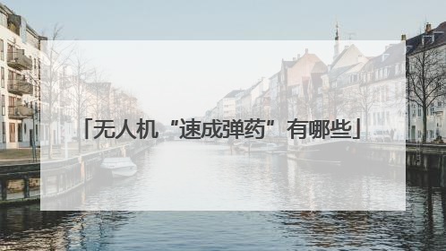 无人机“速成弹药”有哪些