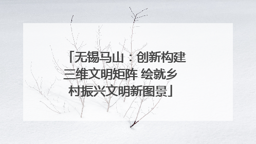 无锡马山：创新构建三维文明矩阵 绘就乡村振兴文明新图景
