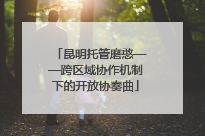 昆明托管磨憨——跨区域协作机制下的开放协奏曲