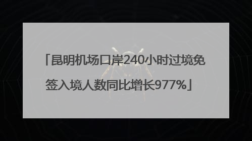 昆明机场口岸240小时过境免签入境人数同比增长977%