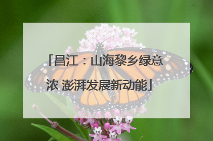 昌江：山海黎乡绿意浓 澎湃发展新动能