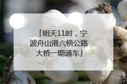 明天11时，宁波舟山港六横公路大桥一期通车