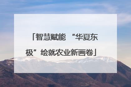 智慧赋能 “华夏东极”绘就农业新画卷