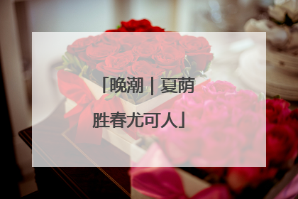 晚潮｜夏荫胜春尤可人