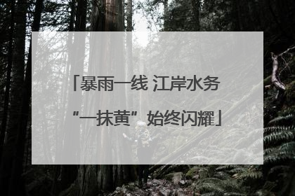 暴雨一线 江岸水务“一抹黄”始终闪耀