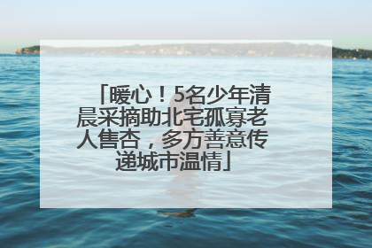 暖心！5名少年清晨采摘助北宅孤寡老人售杏，多方善意传递城市温情