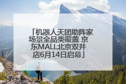 机器人天团助阵家场景全品类覆盖 京东MALL北京双井店6月14日启幕