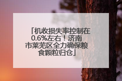 机收损失率控制在0.6%左右！济南市莱芜区全力确保粮食颗粒归仓
