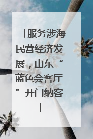 服务涉海民营经济发展，山东“蓝色会客厅”开门纳客