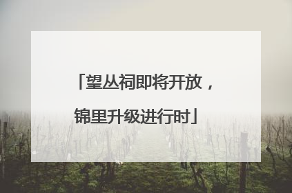 望丛祠即将开放，锦里升级进行时