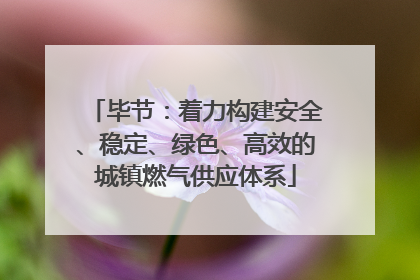 毕节：着力构建安全、稳定、绿色、高效的城镇燃气供应体系