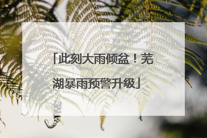 此刻大雨倾盆！芜湖暴雨预警升级