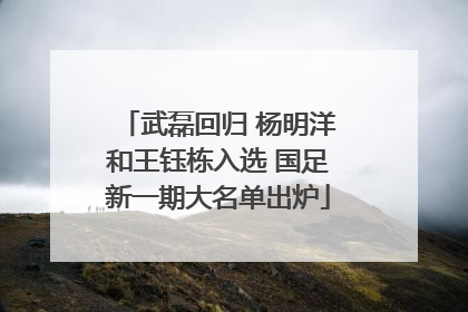 武磊回归 杨明洋和王钰栋入选 国足新一期大名单出炉