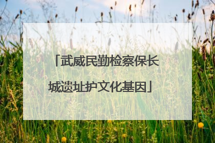 武威民勤检察保长城遗址护文化基因