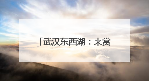 武汉东西湖：来赏荷吧，包好看的