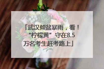 武汉倾盆暴雨，看！“柠檬黄”守在8.5万名考生赶考路上