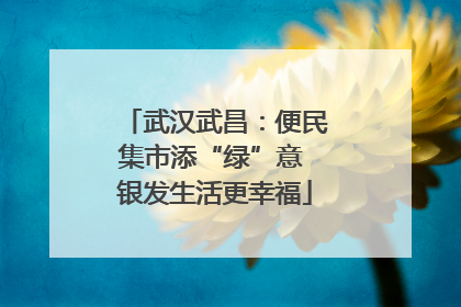 武汉武昌：便民集市添“绿”意 银发生活更幸福