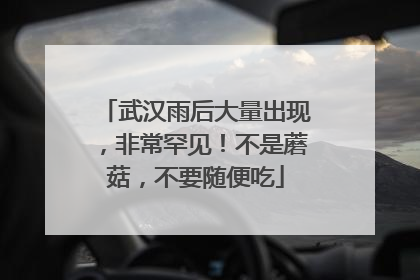 武汉雨后大量出现，非常罕见！不是蘑菇，不要随便吃