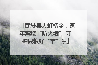 武陟县大虹桥乡：筑牢禁烧“防火墙” 守护夏粮好“丰”景