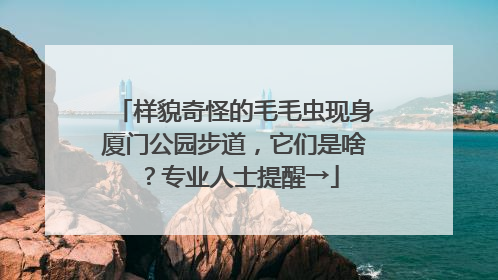 样貌奇怪的毛毛虫现身厦门公园步道，它们是啥？专业人士提醒→