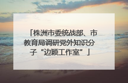株洲市委统战部、市教育局调研党外知识分子“边颖工作室”
