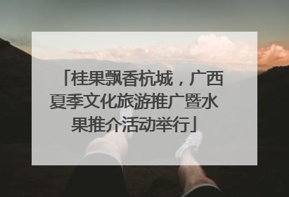 桂果飘香杭城，广西夏季文化旅游推广暨水果推介活动举行